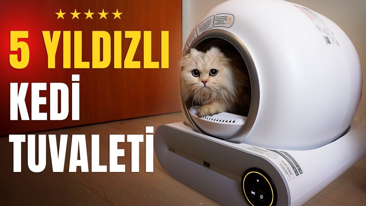 AKILLI KEDİ TUVALETLERİ SAĞLIKLI MI? NASIL KULLANILIR?