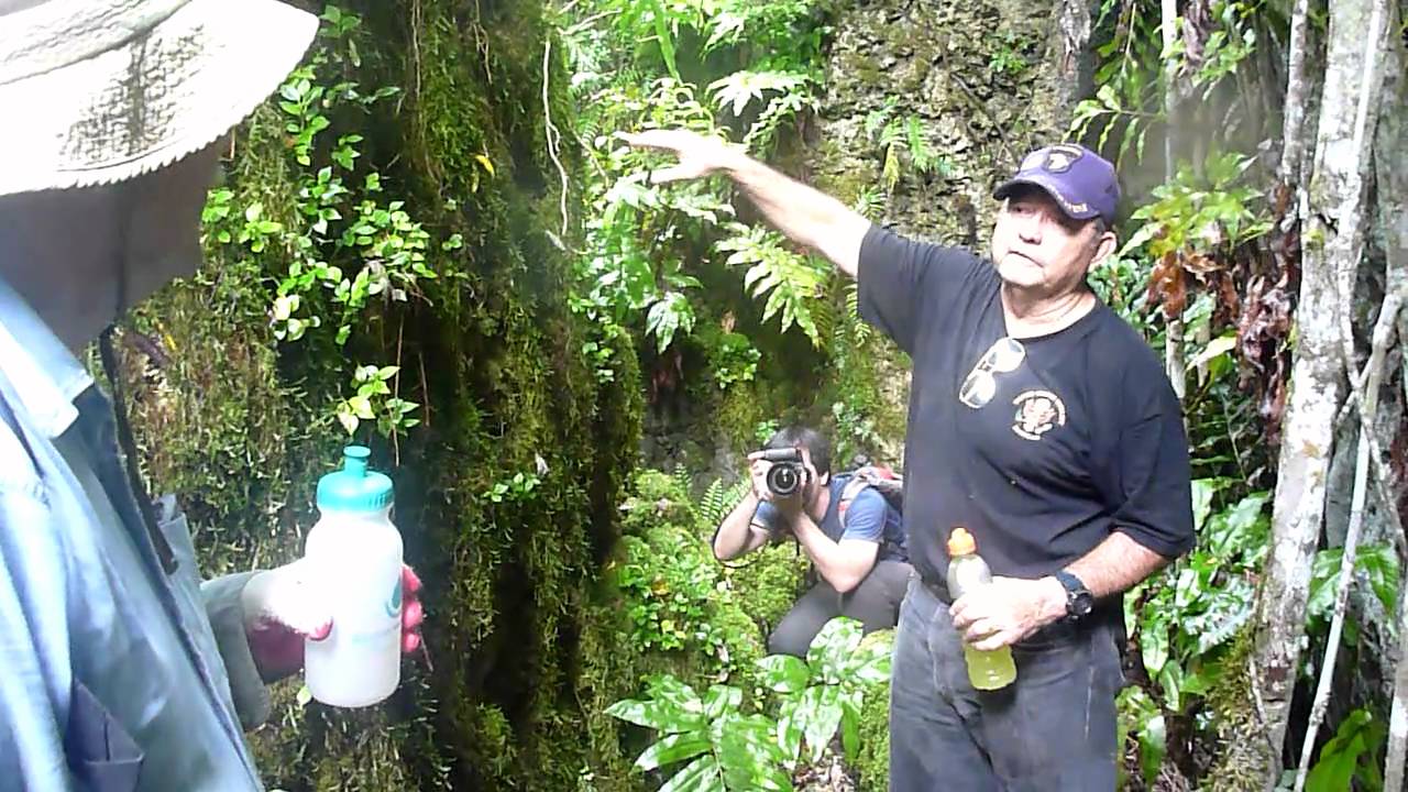 Tweed's Cave hike