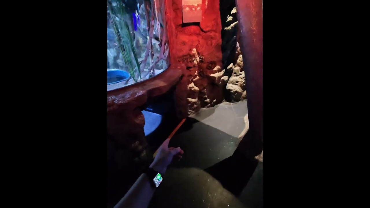 Sealife aquarium in Bangkok 