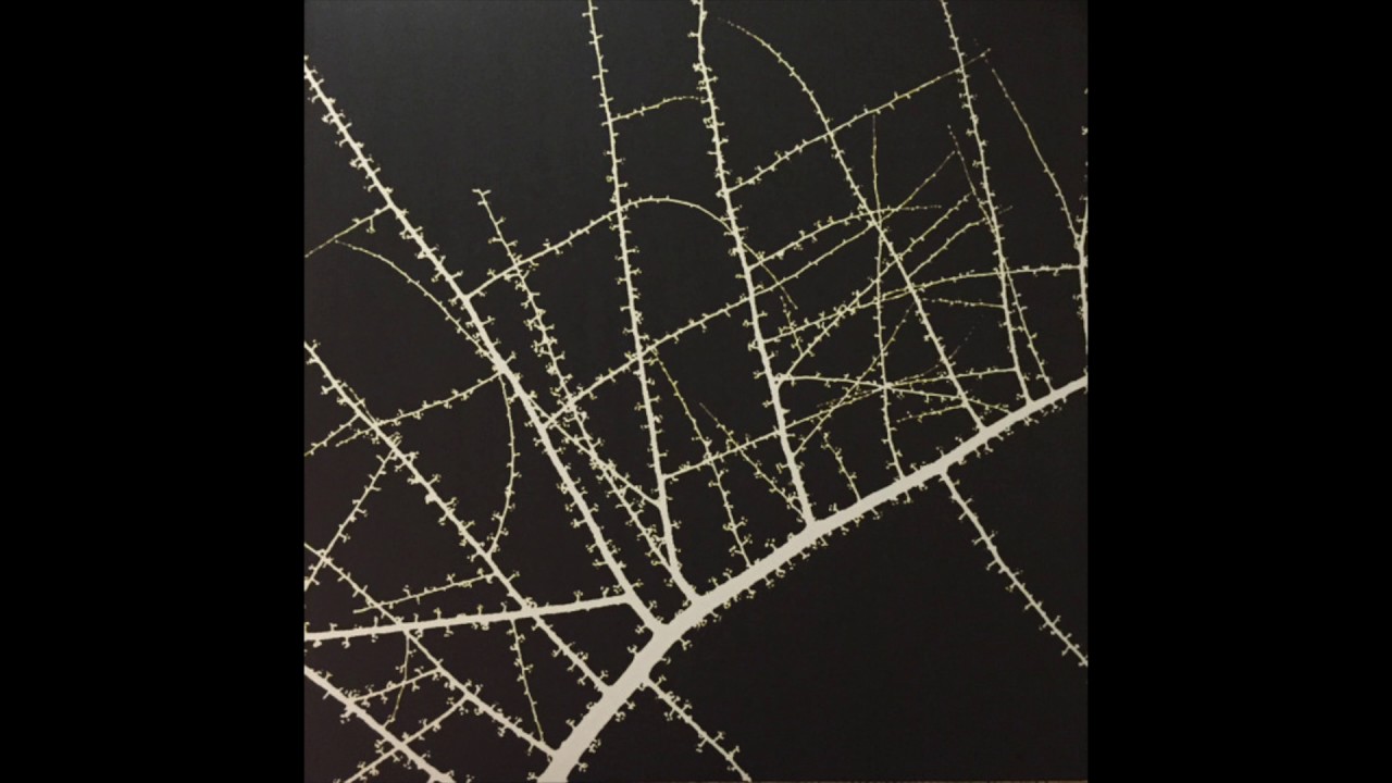 Terry Riley / Don Cherry ‎– Köln – February 23, 1975 [Full Album]