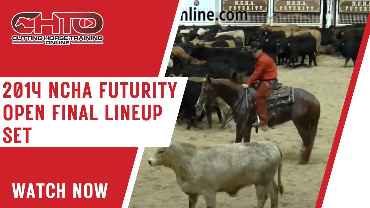 2014 NCHA Futurity Open Final Lineup Set
