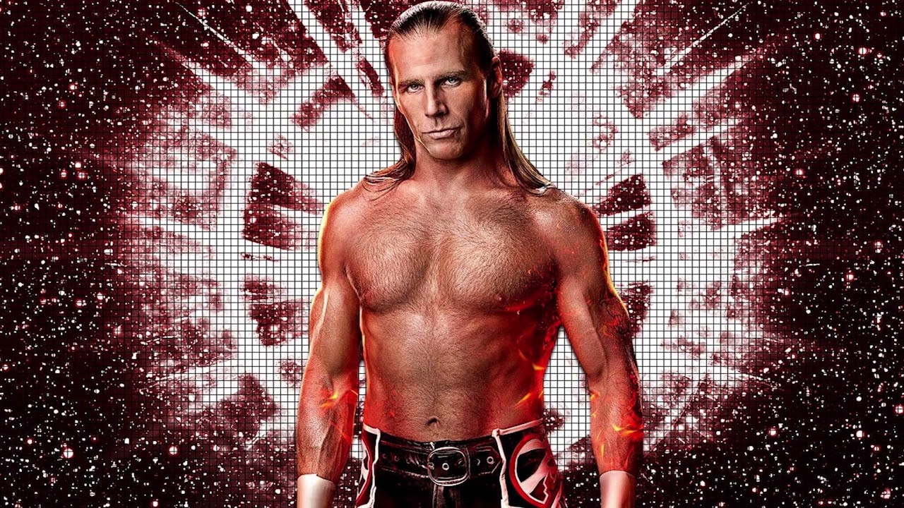 WWE Shawn Michaels - 