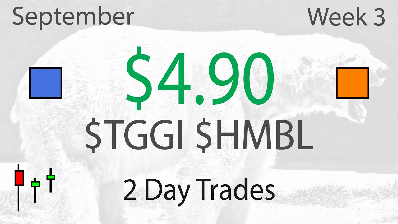 Two Morning Dip Buy Trades with $TGGI $HMBL - Live Daytrading Commentary