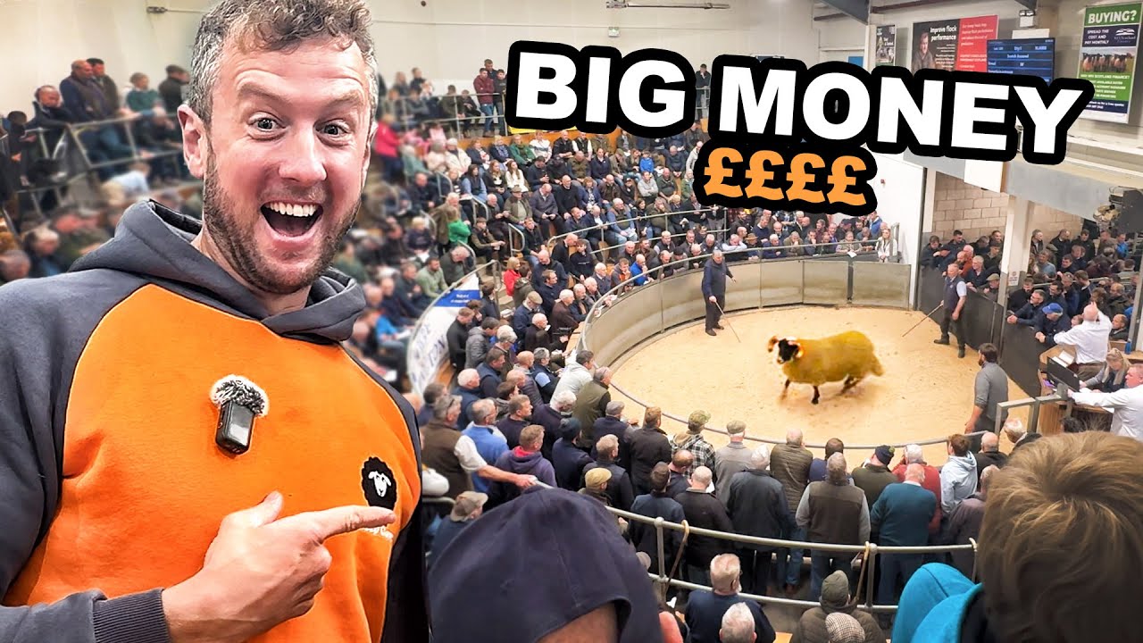 These ELITE RAMS are expensive!