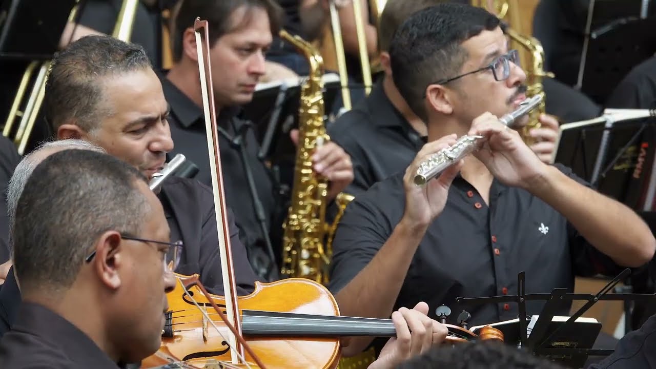 Hino 349 - Irmãos amados | Solo de Viola e Canto