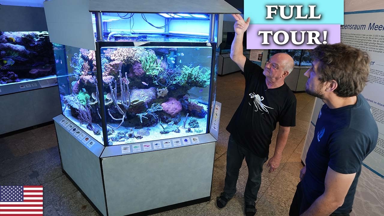 Wszystkie zbiorniki rafowe w NATURKUNDEMUSEUM KARLSRUHE - Tropic Marine