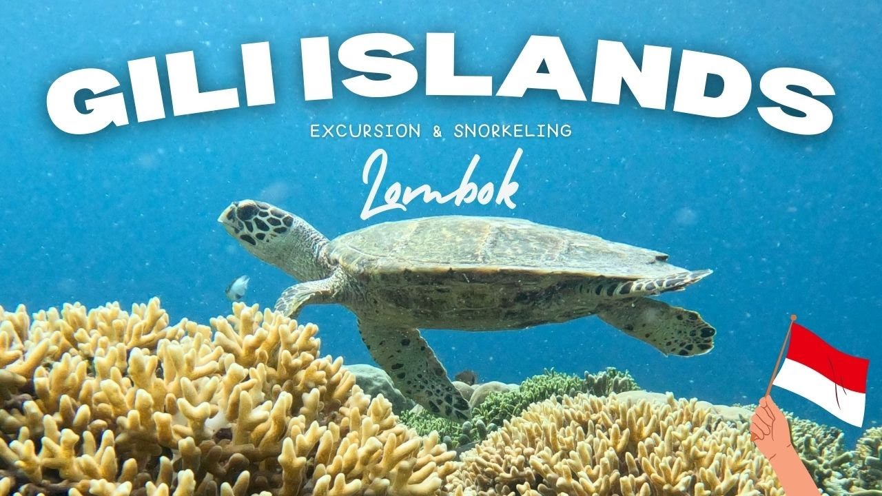 ÎLES GILI - CE QU'IL FAUT ABSOLUMENT FAIRE ! 🇮🇩