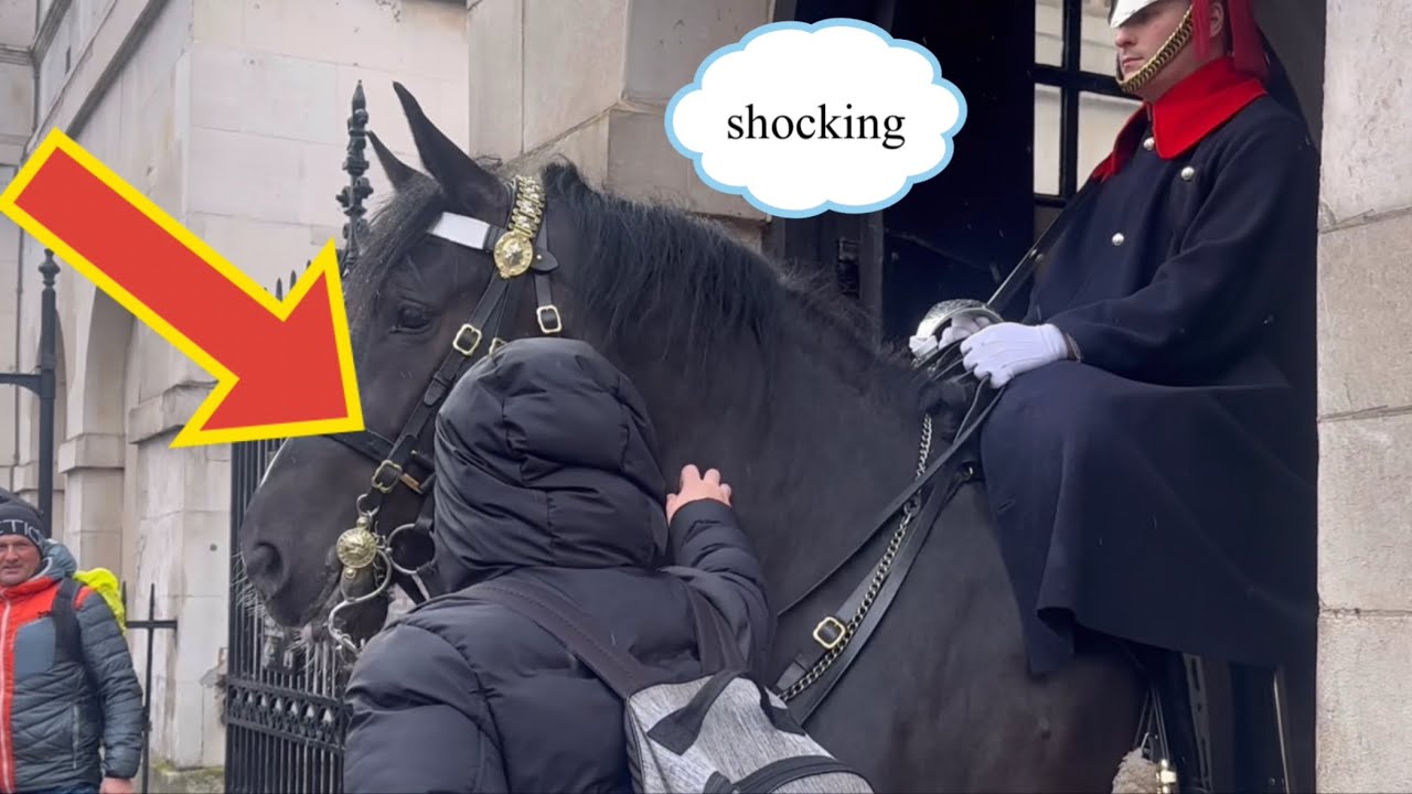 DISRESPECTFUL Tourists REFUSE TO RELEASE provoking king’s guard horse !!!