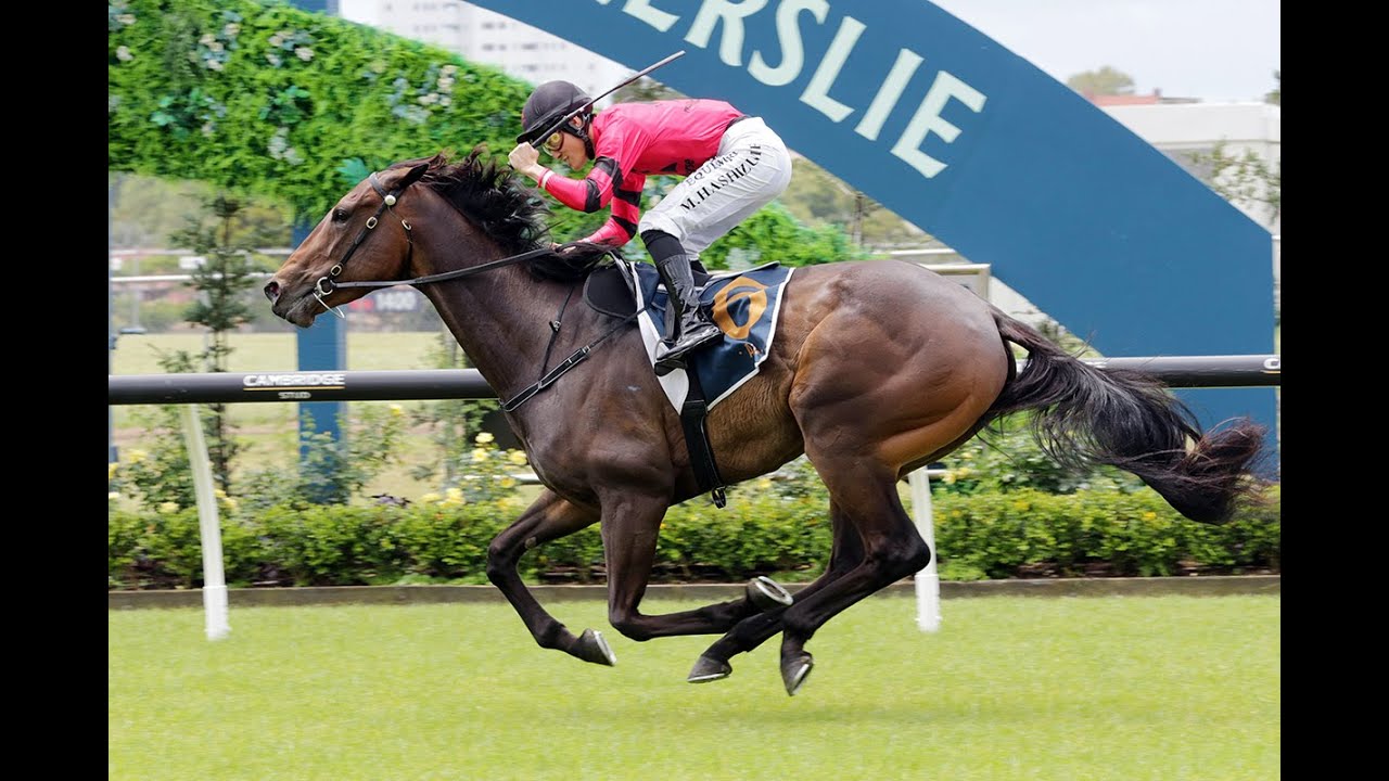 Royal Randwick Racing Preview G1 Doncaster Mile Day GO WILLYDOIT !!