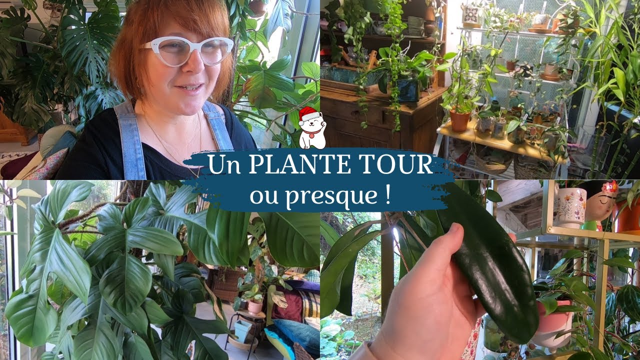 UN PLANTE TOUR ou presque🌿 Ce qui me reste après avoir fait du tri ! 😉