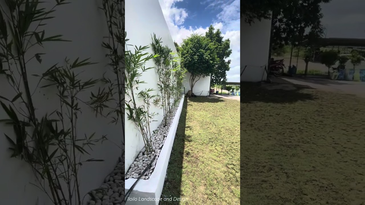 Landscape and softscape