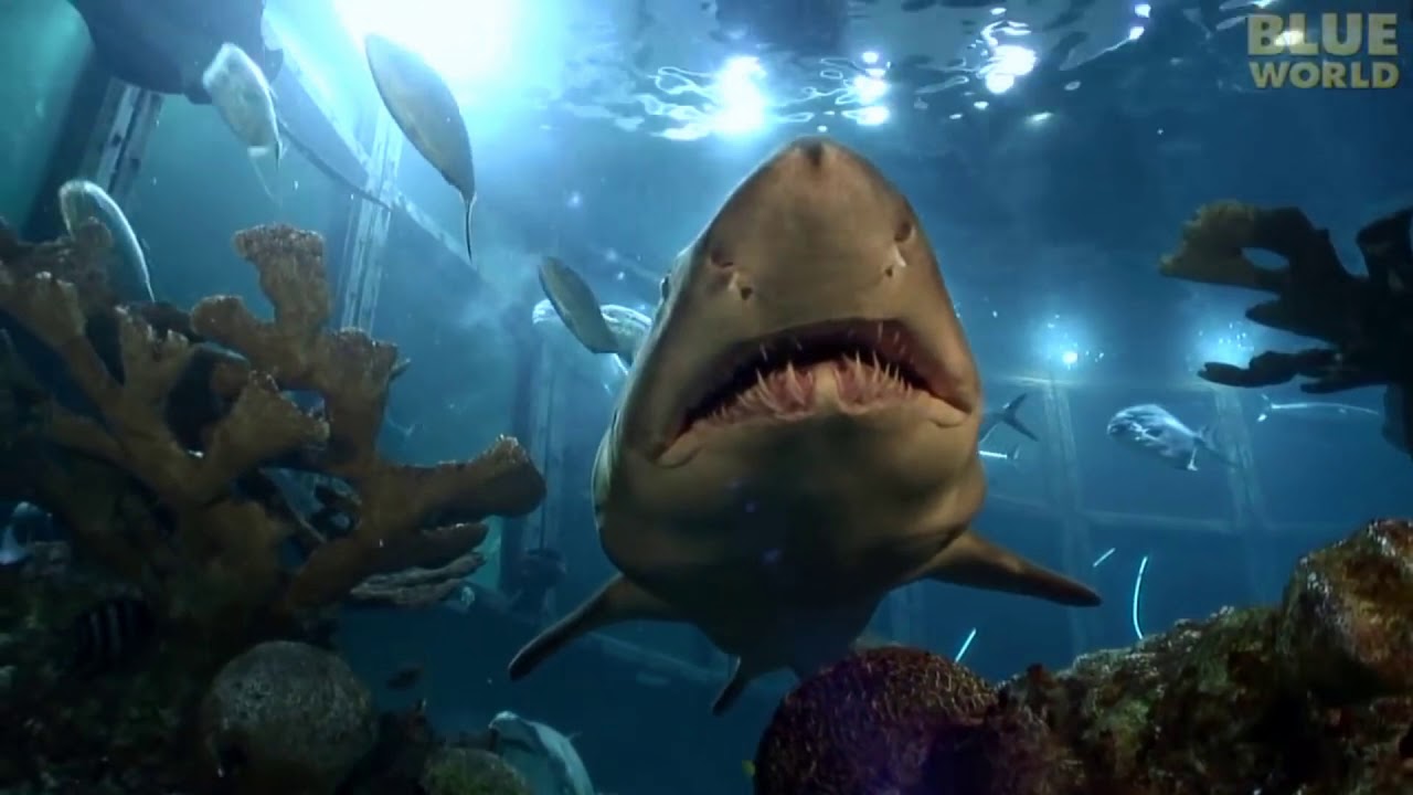 New England Aquarium in Boston