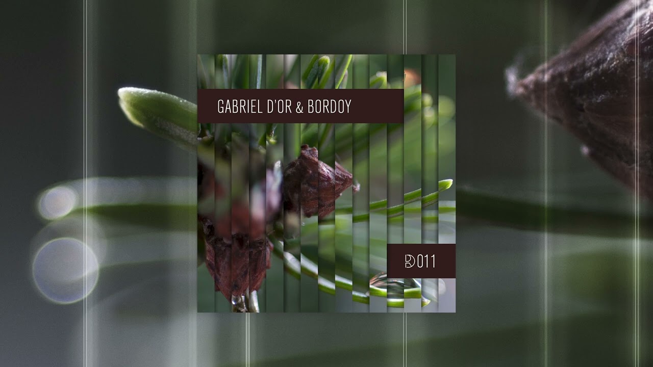 Dynamic Reflection Podcast Series 011: Gabriel D'Or & Bordoy