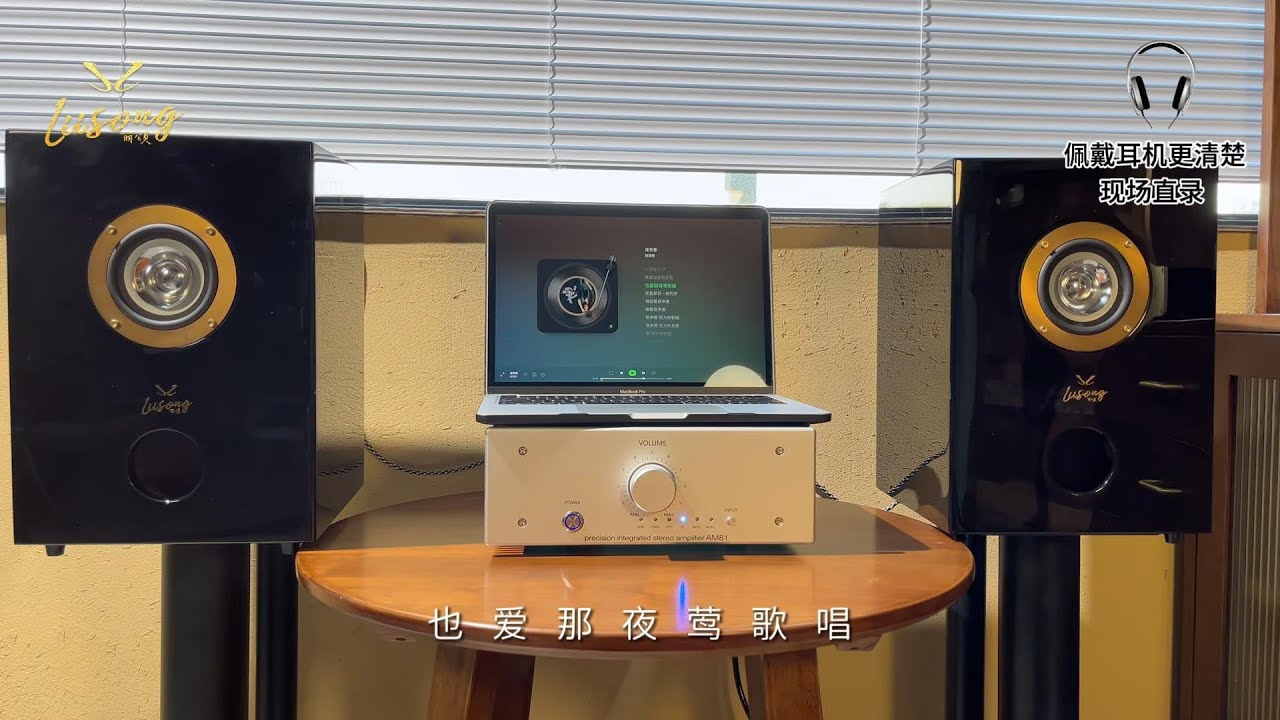 Lii Song Echo Al-4 Full Range Speakers Introduction & Sound demo
