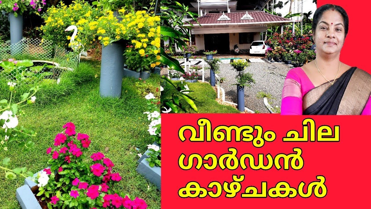 Creative and Amazing Garden Tour in India|Easy gardening|Flowering plants Home Garden|Salu koshy