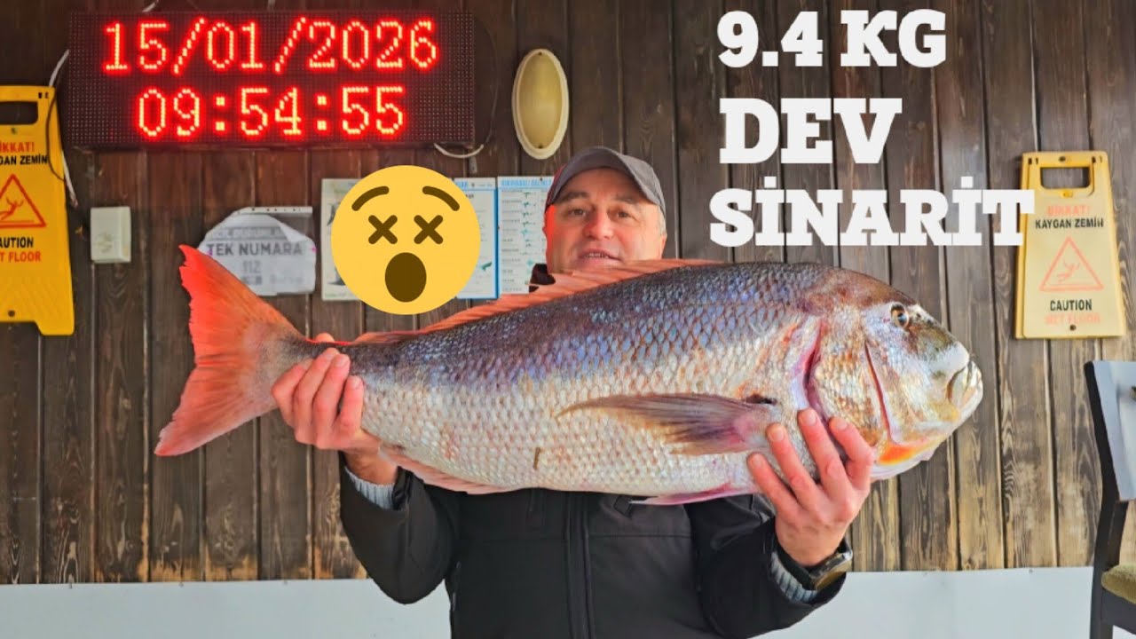 PARAGAT'TAN GELEN 9.4 KG DEV SİNARİT