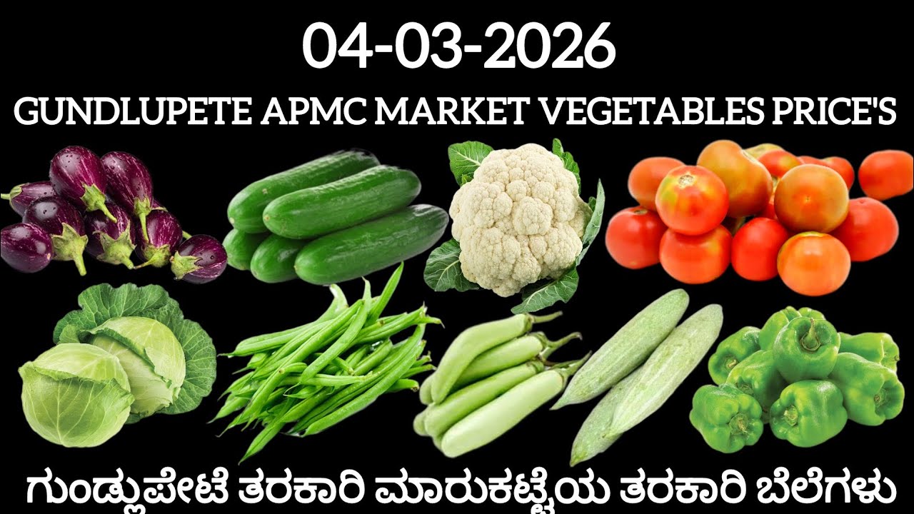 ಇಂದಿನ 04/03/2026 ಗುಂಡ್ಲುಪೇಟೆ ತರಕಾರಿ ಮಾರುಕಟ್ಟೆಯ ತರಕಾರಿ ಬೆಲೆಗಳು #gundlupete #apmc #mysore  #vegetables