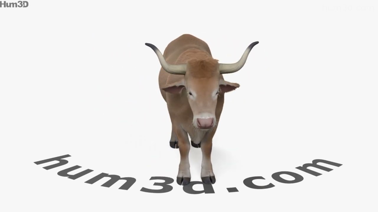 Ox 3D model by 3DModels.org