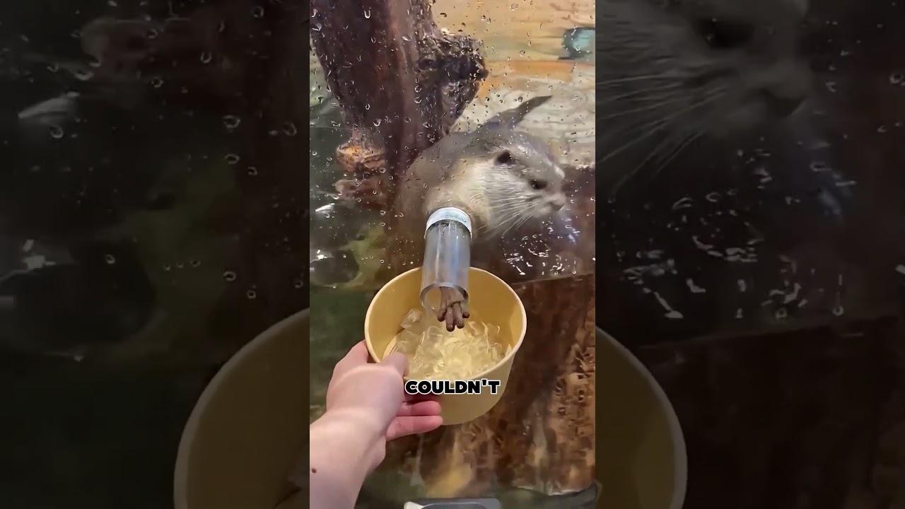 Он очень старался