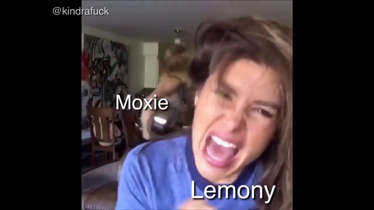 all the wrong vines (lemony snicket’s ATWQ as vines)