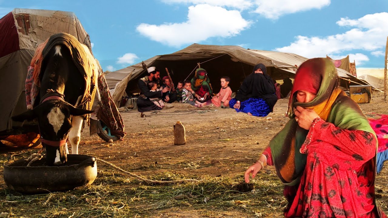A Journey Through the World of Nomadic People | Kochi People in Afghanistan