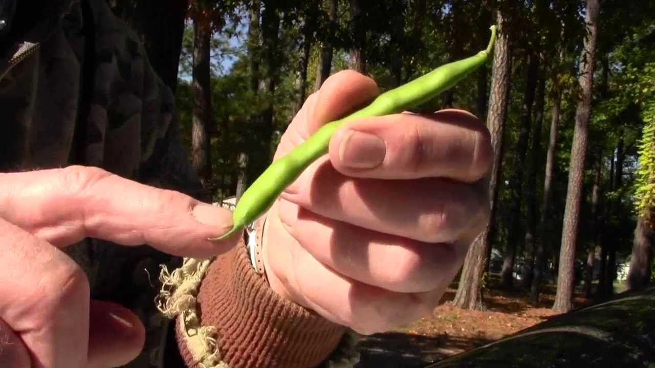 FAST WAY TO STRING GREEN BEANS