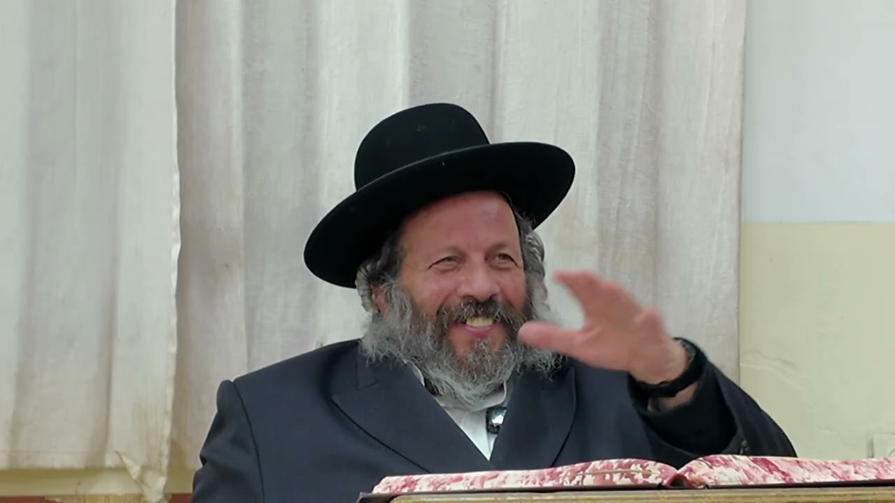(28-ב) • תורה א' • חיות באי הידיעה • הרב פירר