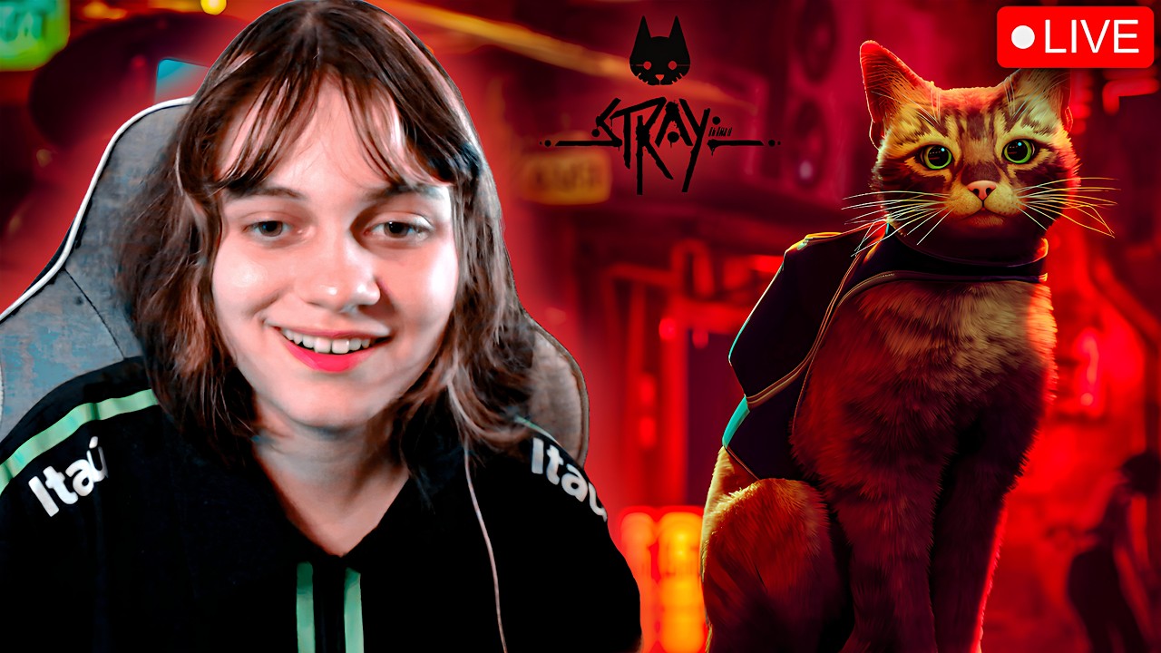 O JOGO DO GATINHO