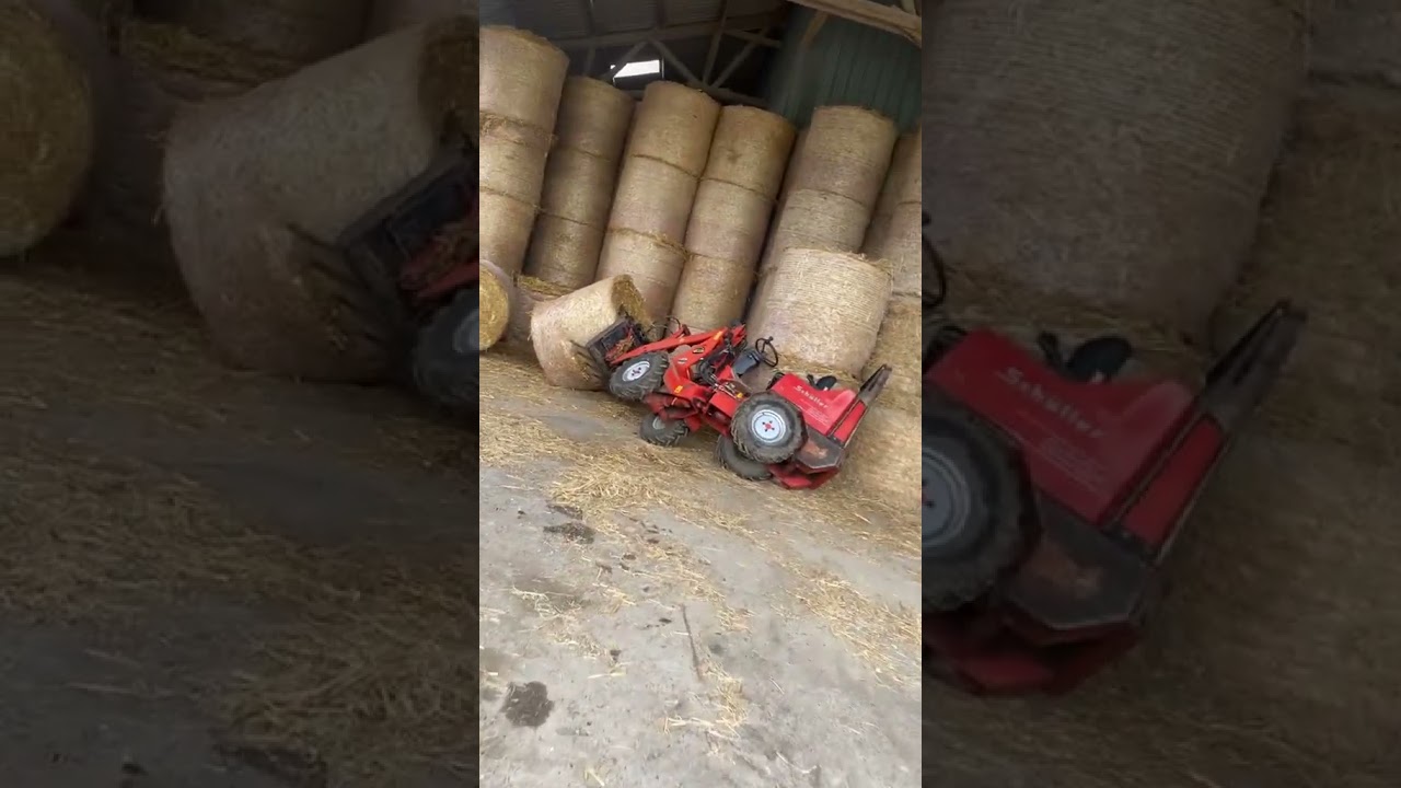 Loger l’animal 