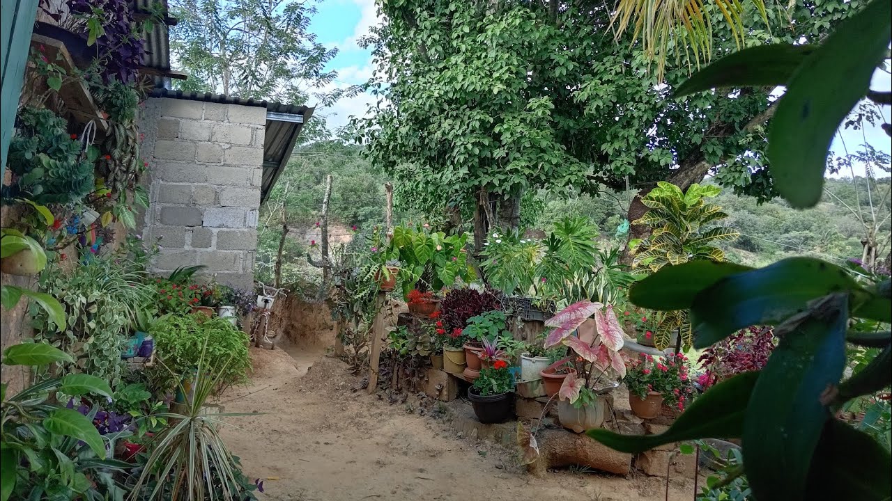 FEBRERO EN EL JARDÍN RECORRIDO 