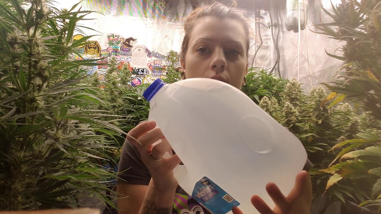 join me while I mix my floraflex