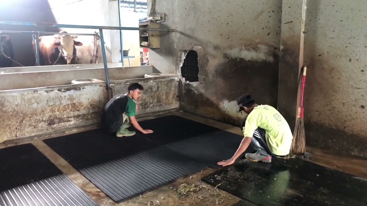 Pemasangan karpet full karet di jamin tidak licin lagi
