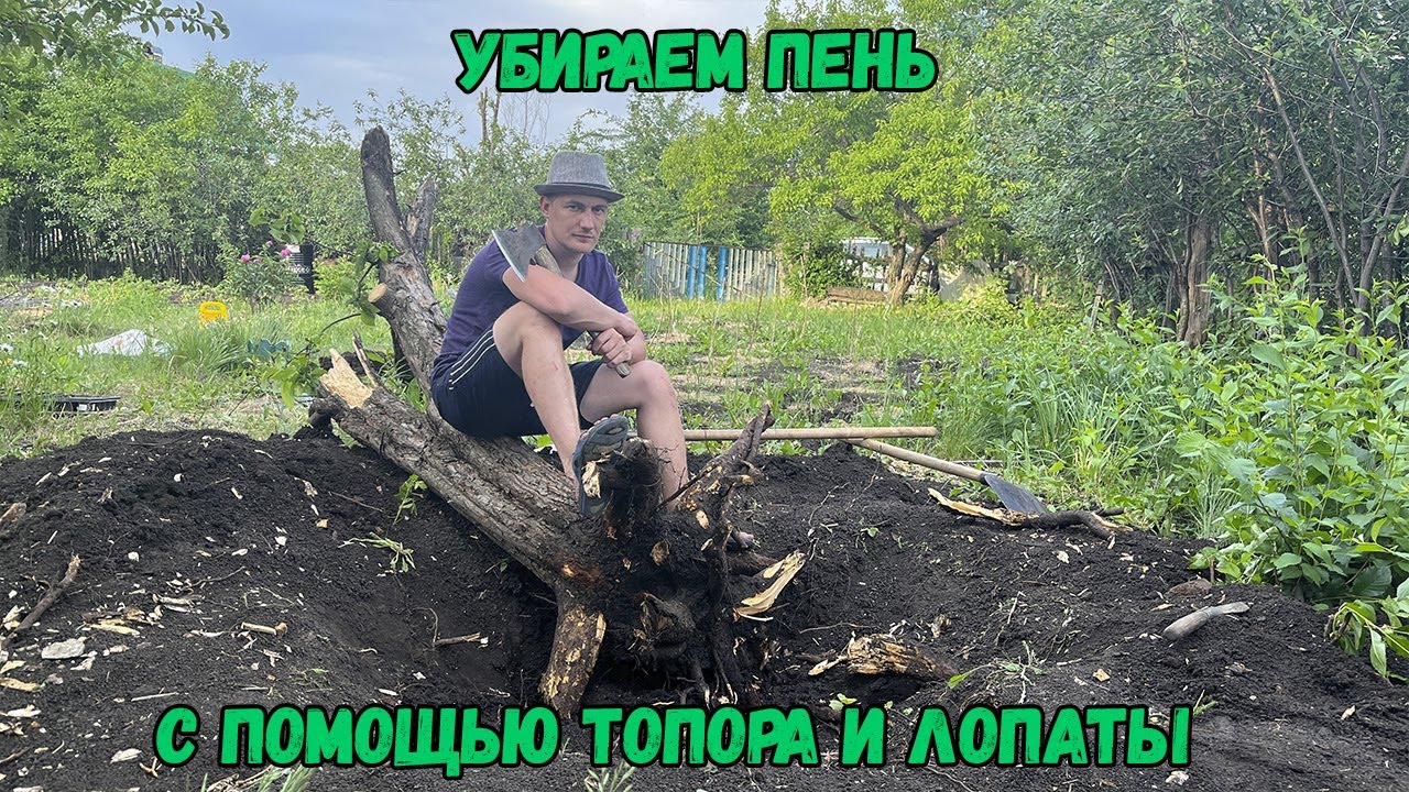 Убираем пень с помощью топора и лопаты