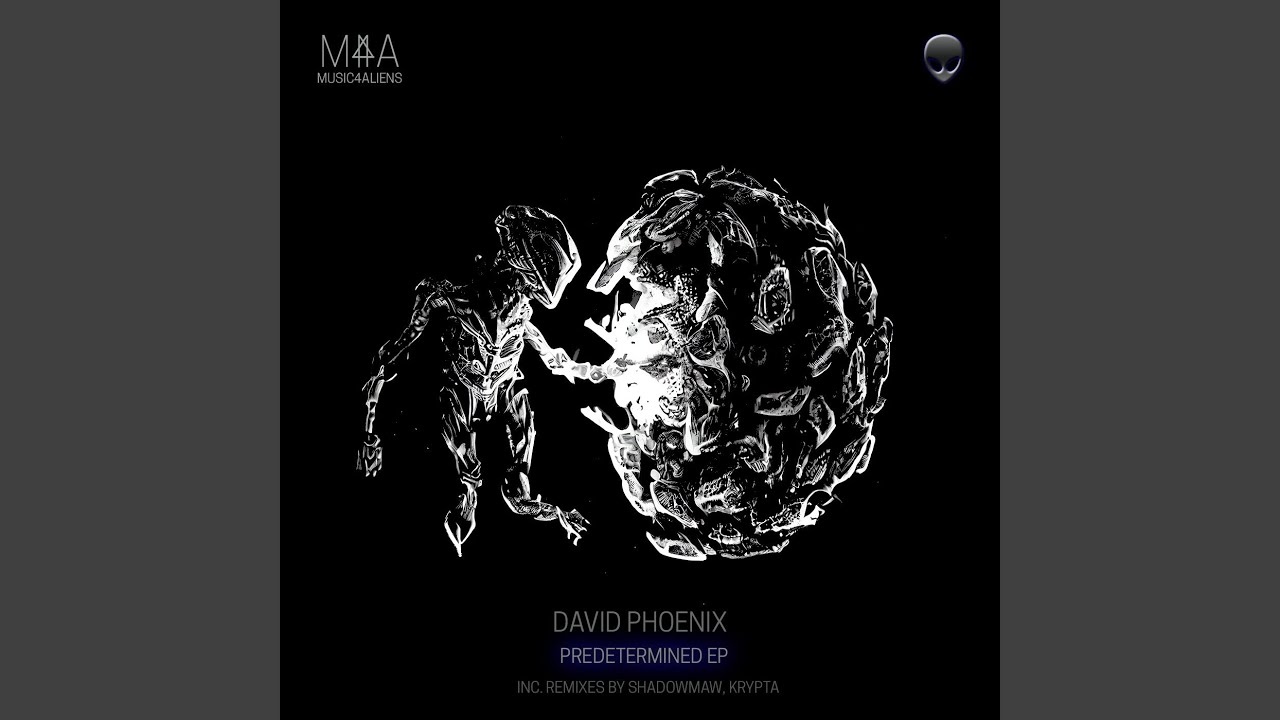 Neural Partitioning (Shadowmaw Remix)