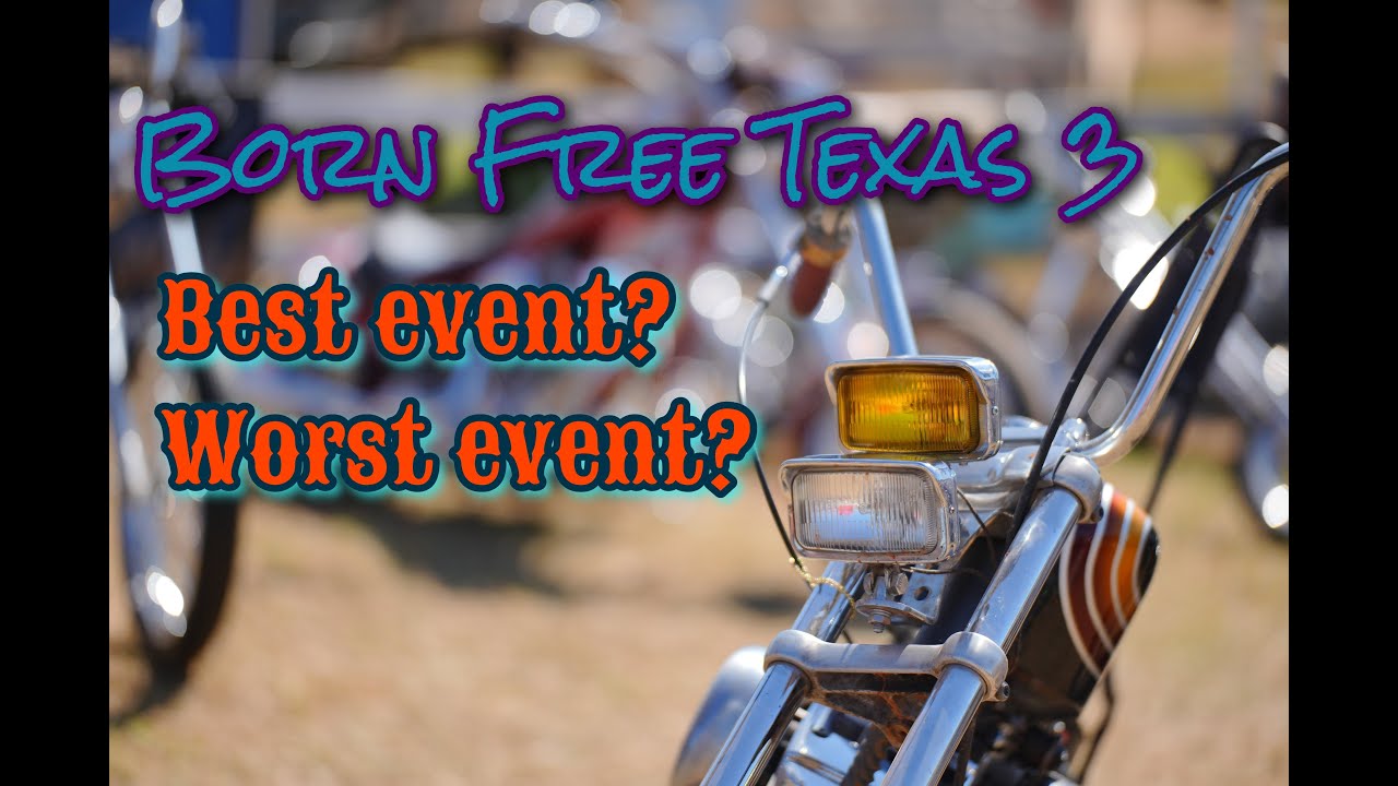 BORN FREE TEXAS 3