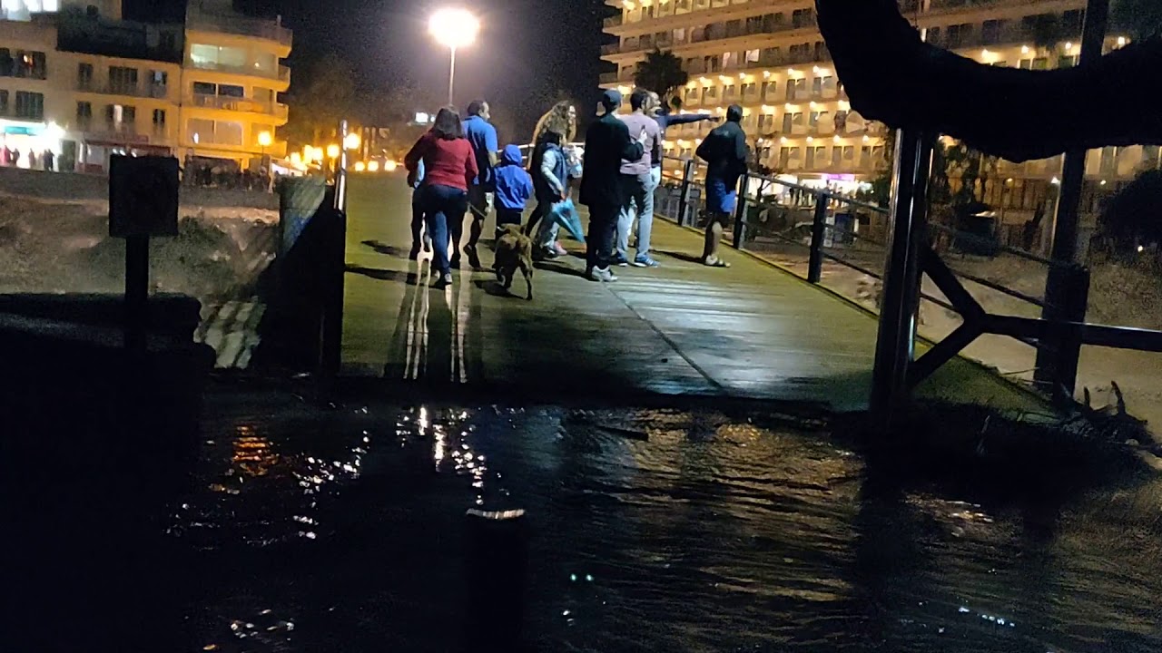 S'Illot floodings 2018