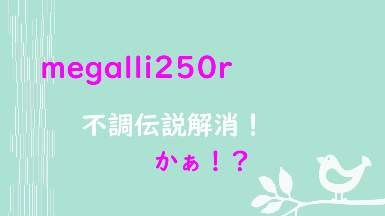 megalli250r　不調伝説を克服する・・
