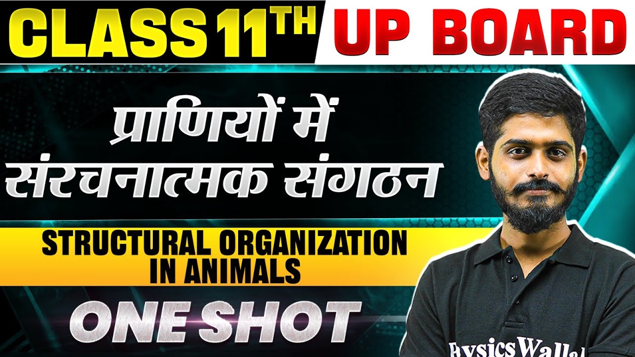 Class 11 Biology - प्राणियों में संरचनात्मक संगठन (Structural Organization in Animals) | One shot