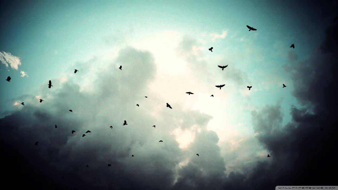 Tomas Dvorak - The Sea