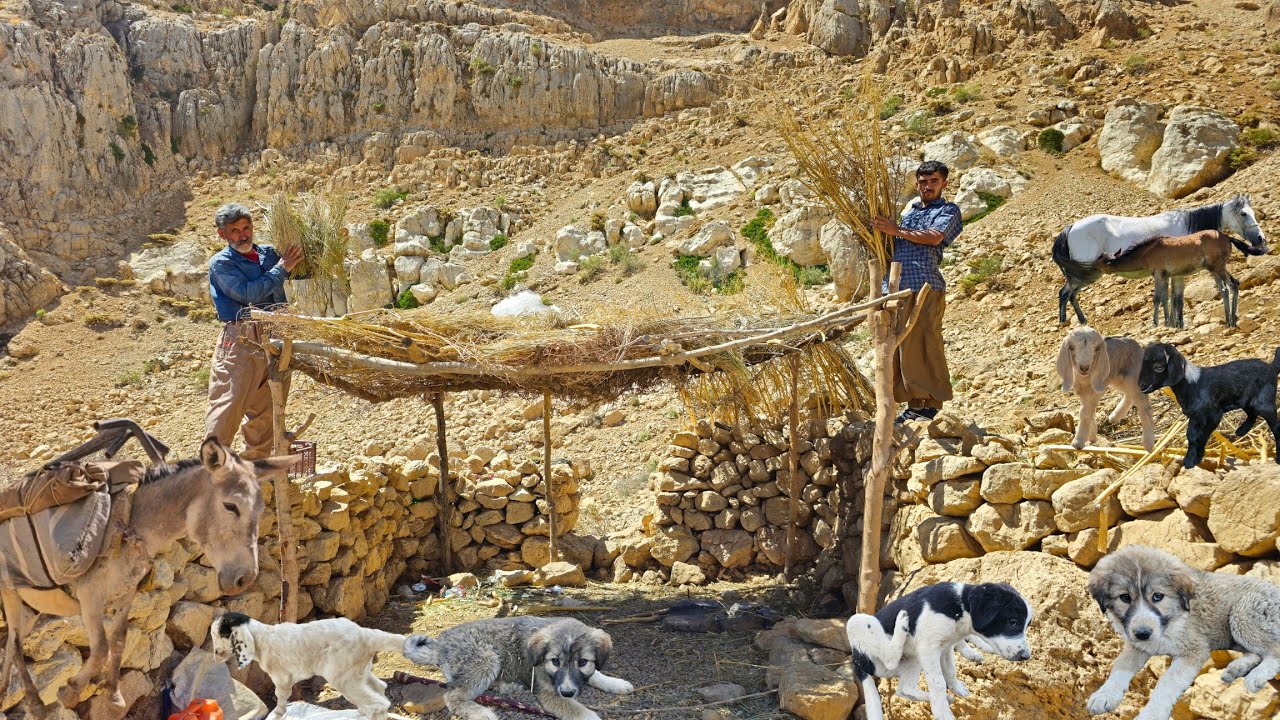 Real Nomadic Life in the Zagros Highlands Migration, Traditional Food, GoatHerding & Life in theWild