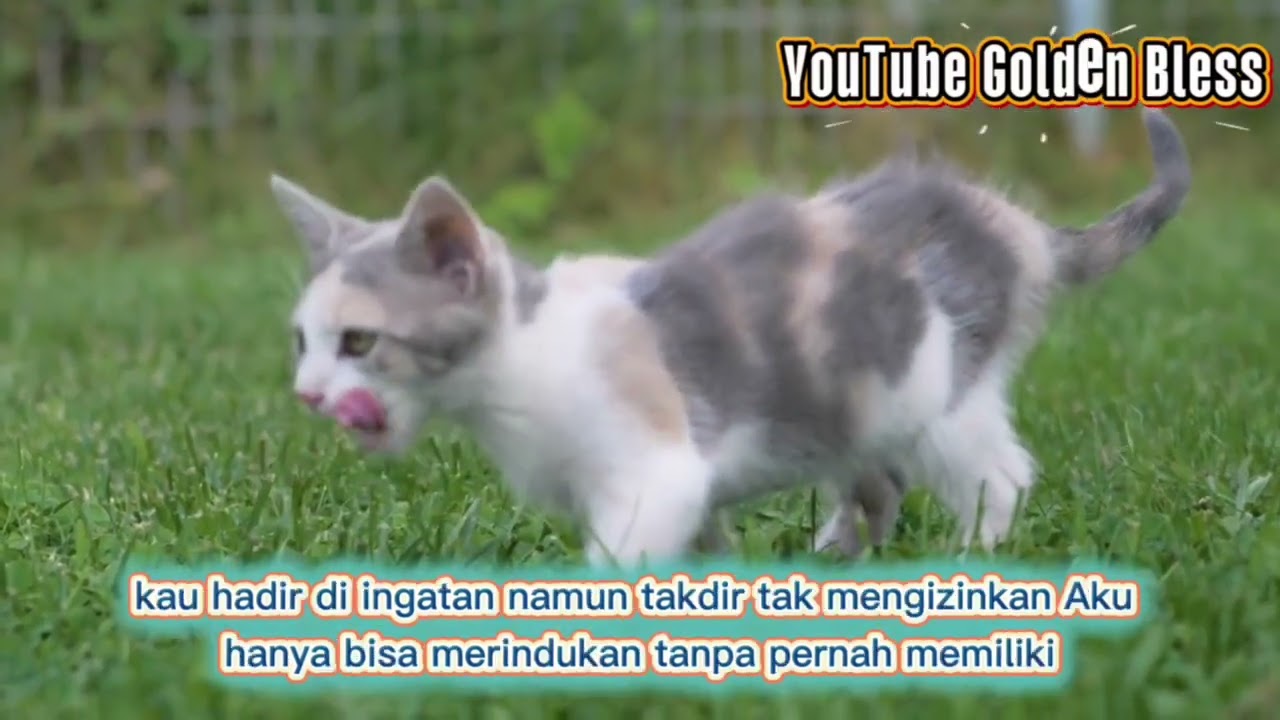 Lagu 