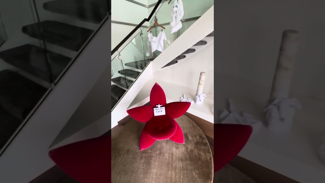 Anthem of the seas royal loft suite