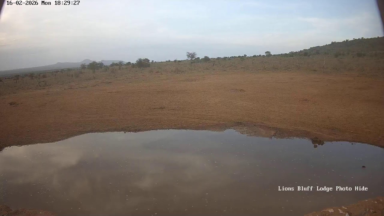 Lions Bluff Lodge Photo Hide - Live Stream