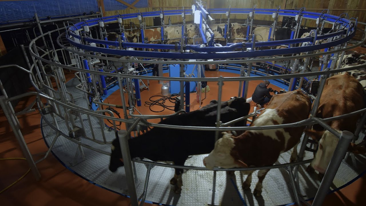 [ETS Lefort] Découvrez un nouveau moyen de traire |Roto DeLaval|