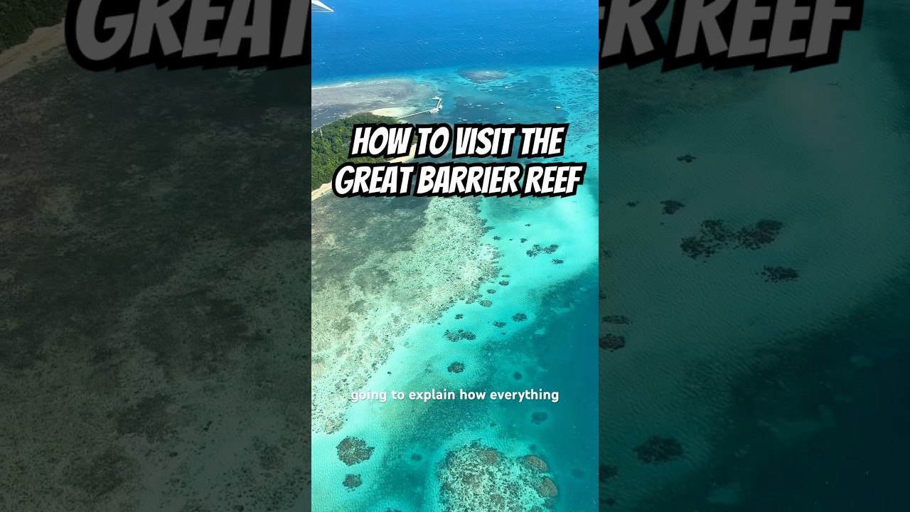 How To Visit The #GreatBarrierReef 🪸 in Australia 🇦🇺