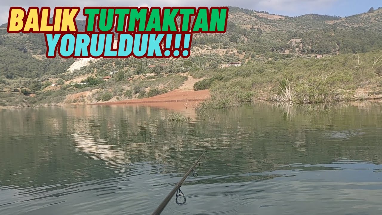 EFSANE BİR BALIK AVI!!!ALABALIKLAR ÇILDIRDI//Balık Tutmaktan Yorulduk.