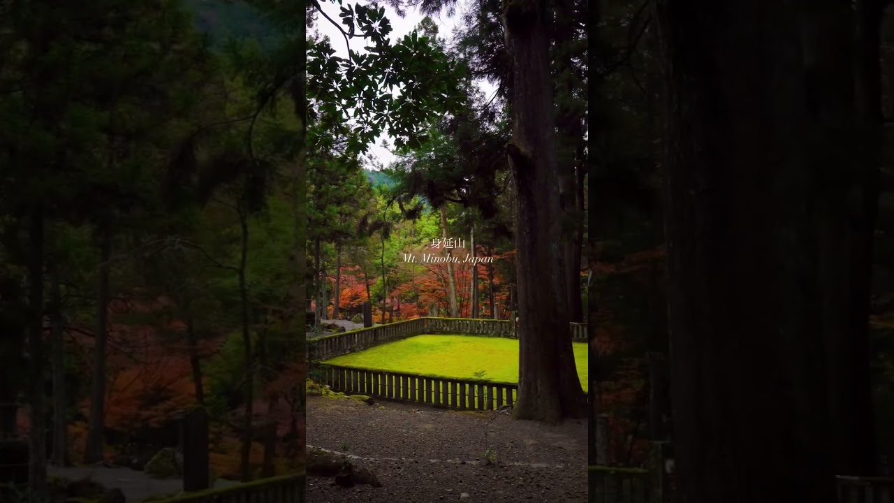 📍Mt. Minobu, Yamanashi, Japan #shorts  #japantravel #japan