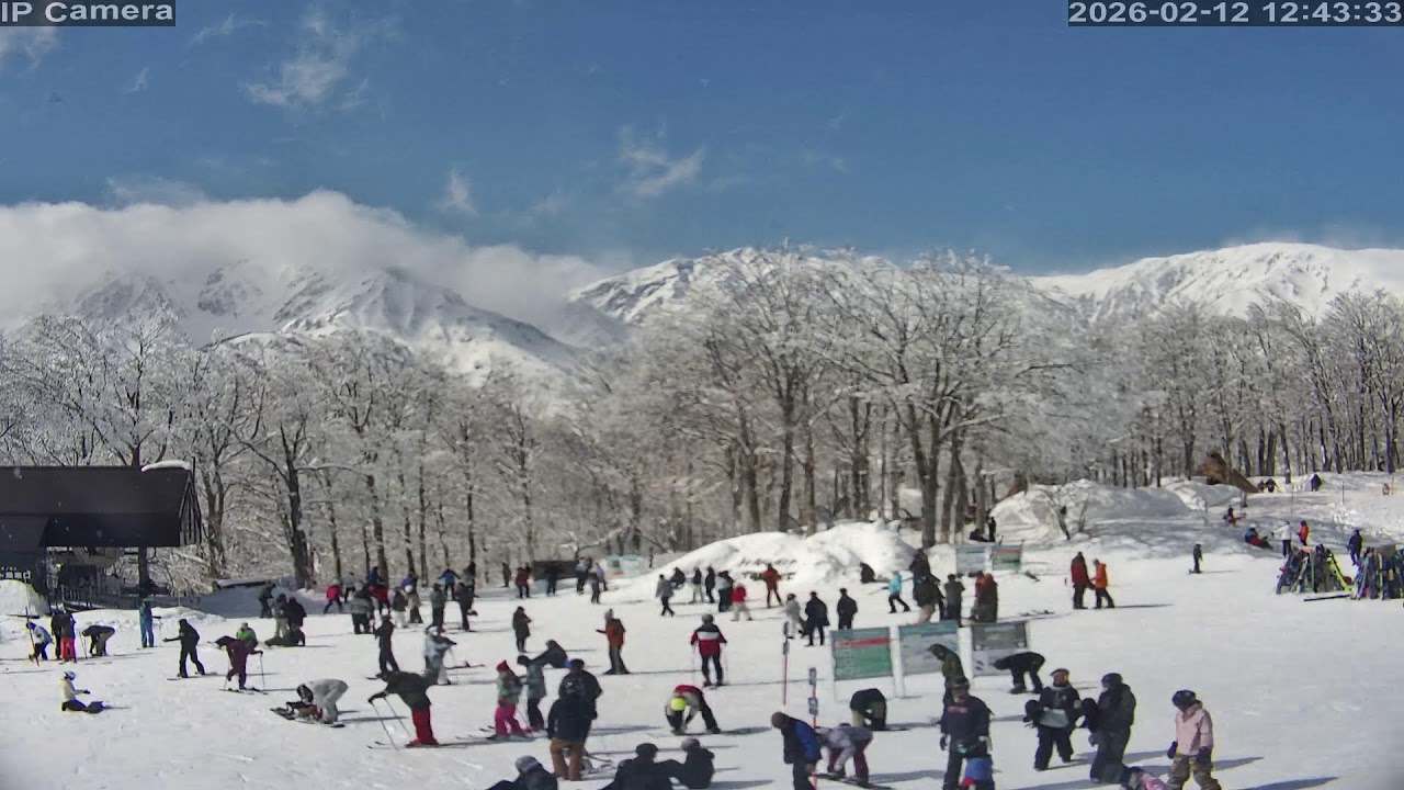 Camera 白馬岩岳マウンテンリゾート - 2026-02-12 12:07