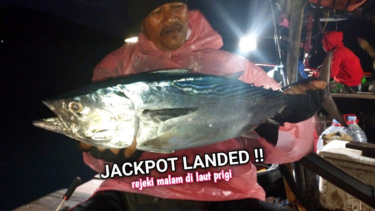JACKPOT BABON ‼️ MANCING JIGGING DAN CASTING MALAM DI LAUT PRIGI