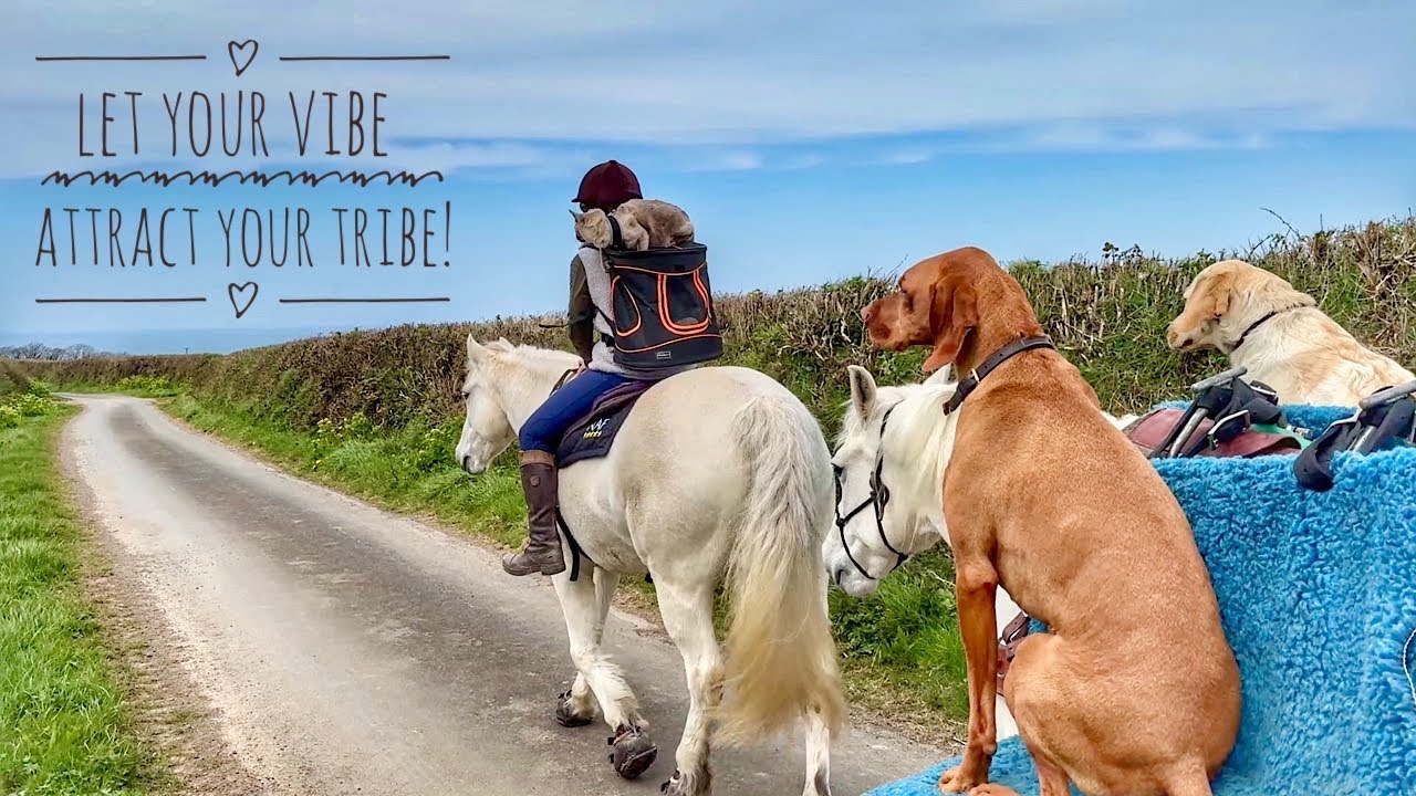 Let&rsquo;s go for a ride&hellip;.with my tribe!